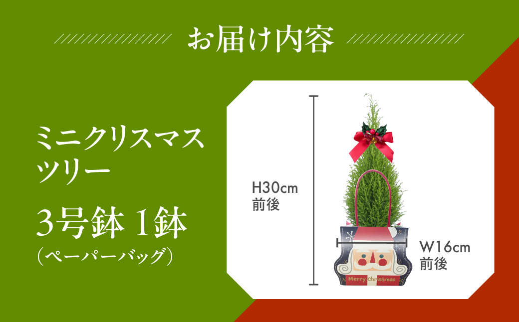ミニクリスマスツリー 観葉植物 植物 3号鉢 ツリー 人気 おしゃれ かわいい お手入れ 室内 大鉢 中型 インテリア リビング 玄関 寝室 キッチン オフィス プレゼント ギフト 冬 クリスマス フラワーギフト