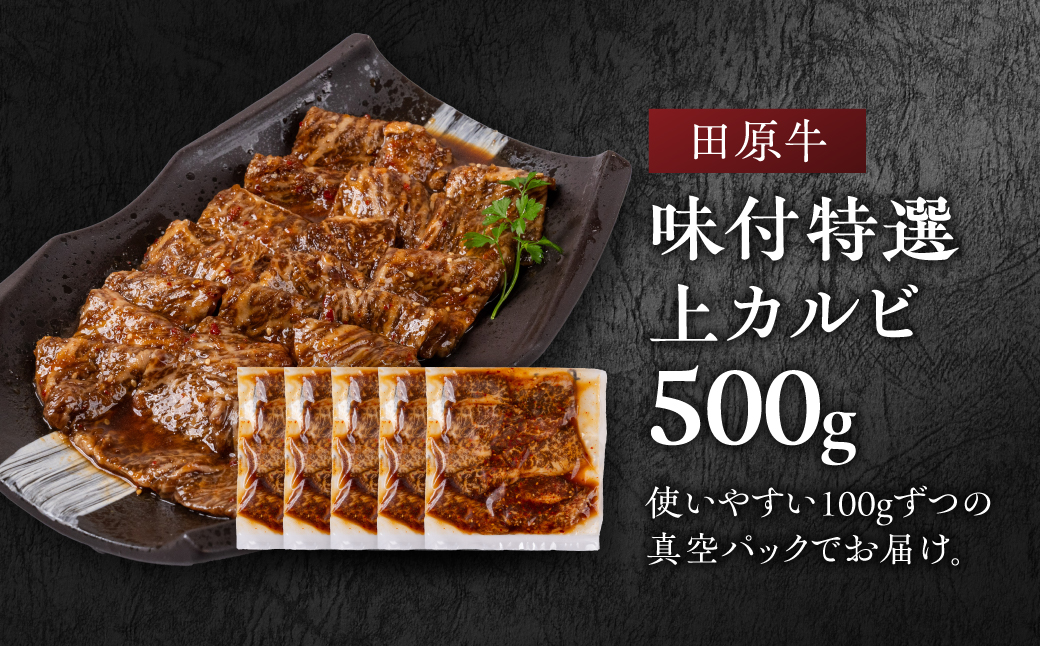 【ブランド牛】田原牛のタレ付き特選上カルビ500g ／ 牛肉 BBQ 愛知県 産地直送 田原市 渥美半島