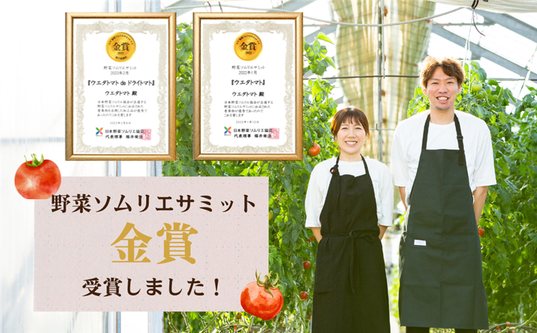 《先行予約》 濃厚！ウエタトマトのトマト 4kg／ とまと 冬トマト 野菜 厳選 愛知県 産地直送 田原市 渥美半島