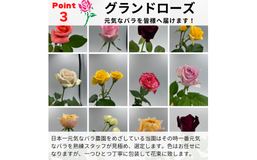 バラの花束 グランドブーケ 30本 バラ 薔薇 ローズ 母の日 結婚式 卒業式 花束 観賞用 ギフト プレゼント 贈り物 贈答用 自分用 誕生日 植物 花 フラワー 癒し フラワーバレンタイン はな 華 産地直送 田原市 送料無料 18000円