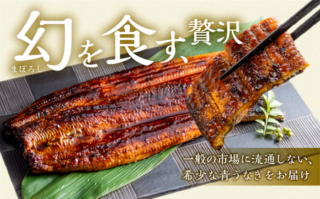 幻の青うなぎ＆マスクメロンセット 食感・風味全てに自信のある最高のうなぎ | 鰻 ウナギ ふっくら うなぎ ブランド 旬 フルーツ メロン アールスメロン