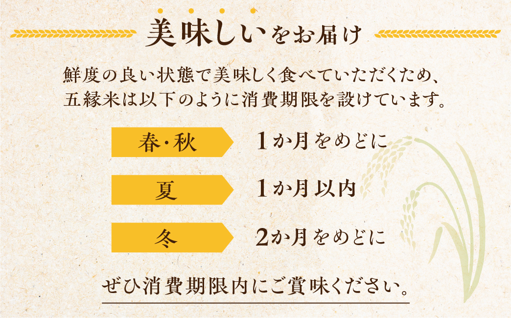 【先行予約】五縁米5 kg　定期便6回　こしひかり お米 ごはん コシヒカリ 白米 5キロ 産地直送 愛知県 田原市