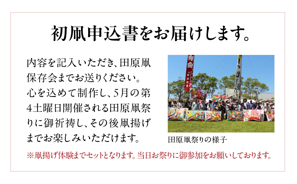 祝い舞う 初凧 特大 特大　217㎝×124cm　凧 田原凧 田原凧保存会 祝凧 初凧 お祝い 祝い 出産祝い 誕生祝い 贈り物 プレゼント 凧揚げ 愛知県 田原市 渥美半島