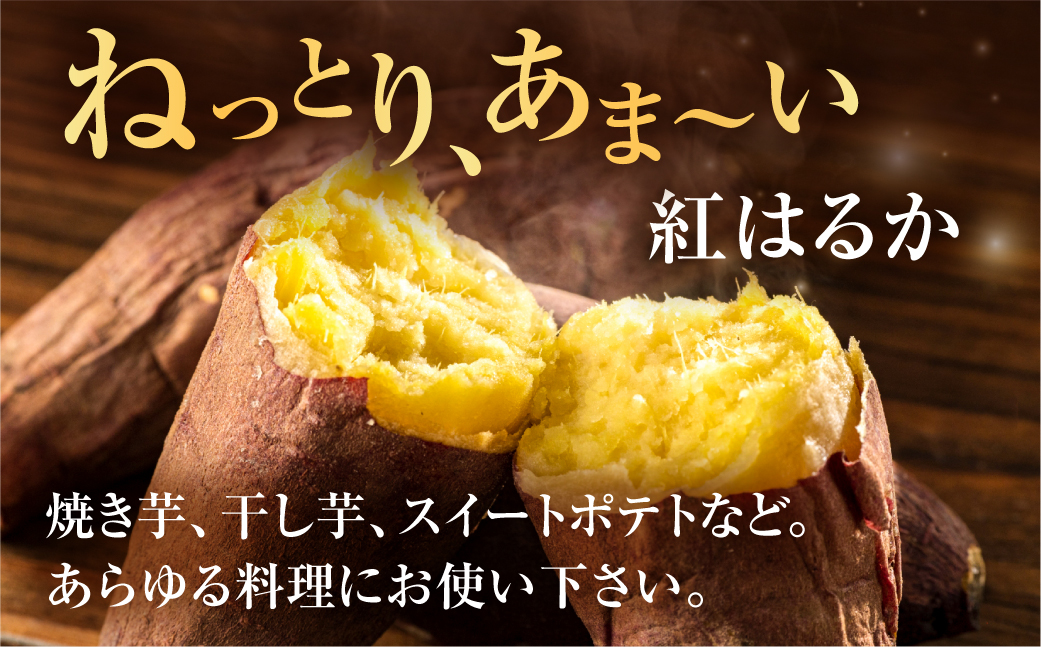 【先行予約】訳あり さつまいも 5kg サイズ無選別 紅はるか 田原市 渥美半島 サツマイモ 芋 焼芋 やきいも 焼き芋 おやつ