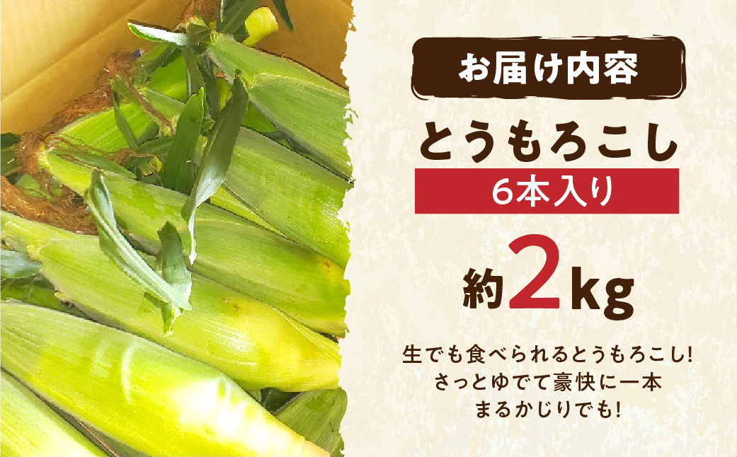 【先行予約】自然の恵みで育った 朝どりとうもろこし 6本 とうもろこし 朝採り トウモロコシ コーン 農家直送 旬 期間限定 野菜 ノンケミカル 6月 7月 愛知県 田原市 渥美半島 冷蔵 送料無料