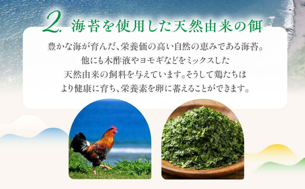 産みたてたまご 30個 ( 割れ保証込み 25個 ＋ 5個 ) 卵 たまご ナガイタマゴ 鶏卵 卵かけごはん 海苔 エサ 赤玉 パック 赤鶏 卵かけご飯 玉子焼き 玉子 国産 新鮮 小分け パック ギフト