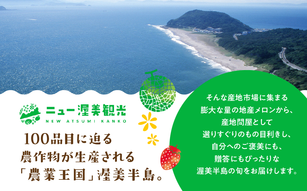 【先行予約】マスクメロン 1玉 メロン めろん マスクメロン フルーツ 果物 愛知県 田原市 渥美半島 お取り寄せ スイーツ ギフト 贈り物 プレゼント 贈答 贈答用 ニュー渥美 観光 1玉 2玉 3玉 訳あり わけあり ワケアリ 訳アリ
