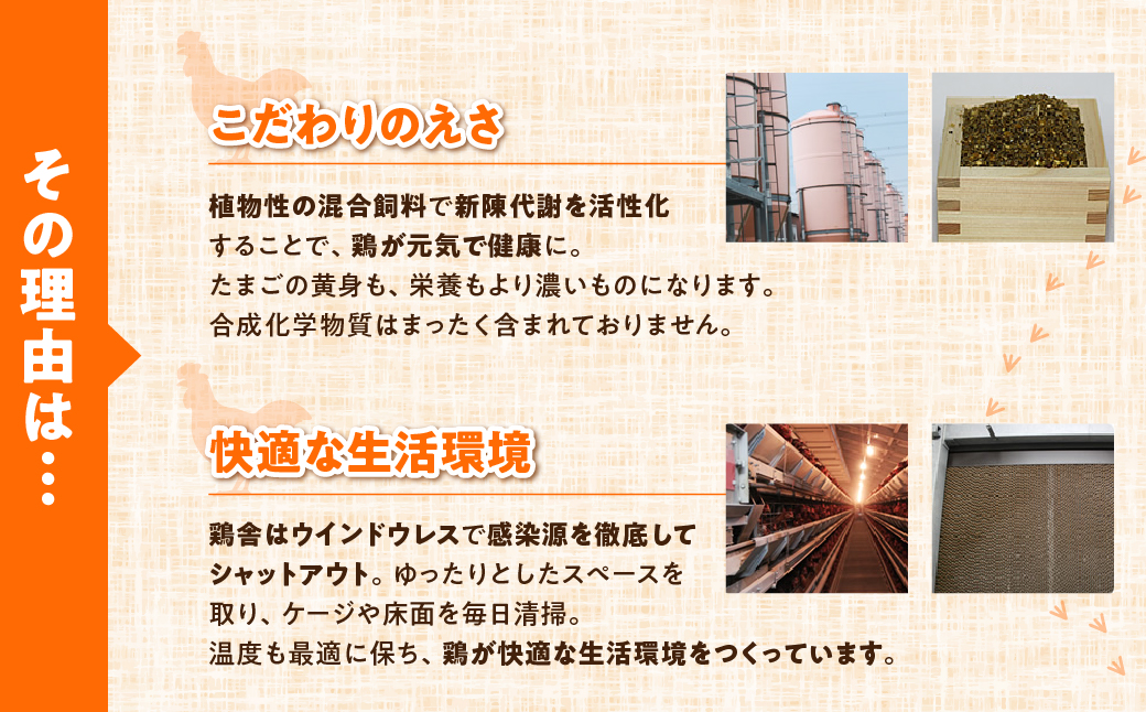 農場たまご めぐみ 30個　割れ保証付き 卵 たまご 鶏卵 30 赤玉 新鮮 イラコファーム 愛知県 田原市