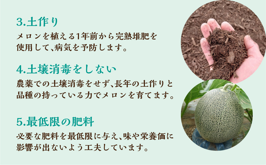 【先行予約】2026年7月お届け タカミメロン 2玉 水野農園 　6月中下旬から7月順次発送 メロン めろん 先行受付 フルーツ 果物 お中元 お取り寄せ ギフト 渥美半島 田原市 産地直送 送料無料 9000円