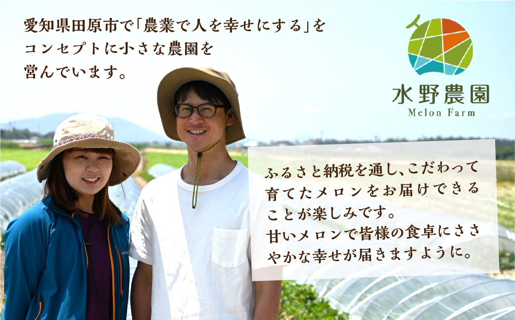 【先行予約】2026年6月お届け 水野農園タカミレッド　２玉 メロン めろん 先行受付 フルーツ 果物 お中元 お取り寄せ ギフト 渥美半島 田原市 産地直送 送料無料 農家直送 産直 ネット系メロン くだもの デザート メロン 糖度 メロン 赤肉メロン