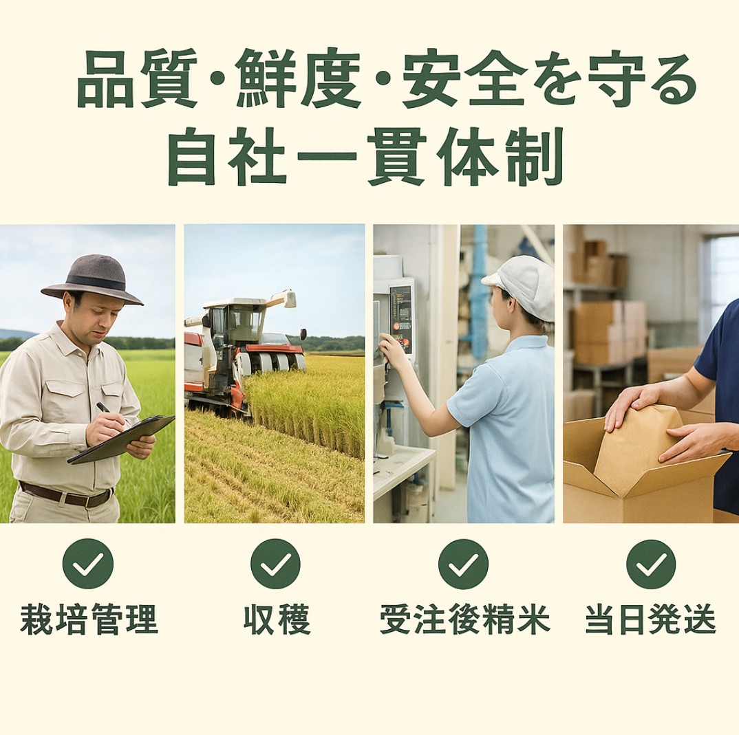 【先行予約】新米 5kg たはらの お米 おこめ 米 コメ ごはん ご飯 おかず 白飯 白ごはん お弁当 精米 お取り寄せ 災害 備え 愛知県 田原市 人気