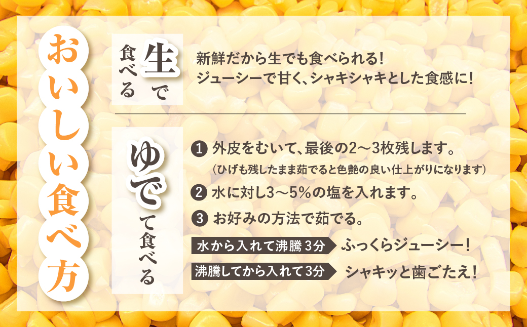 【先行予約】氷締めとうもろこし バイカラー 5本～6本 寺田さんちのとうもろこし  コーン