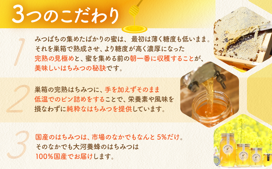 渥美半島産純粋百花はちみつ 225g 1本 蜂蜜 ハチミツ はちみつ お取り寄せ ご当地 グルメ お取り寄せ 純粋はちみつ ハニー 純粋ハチミツ 蜂 国産はちみつ 国産ハチミツ 産地直送 健康 送料無料 百花 花 完熟 パン ヨーグルト コーヒー 紅茶 などに