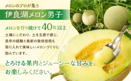 先行予約 伊良湖産 マスクメロン 2玉 2Lサイズ 2026年6月下旬から8月中旬まで発送  箱詰め メロン フルーツ 果物  お取り寄せ 渥美半島 田原市 産地直送 送料無料