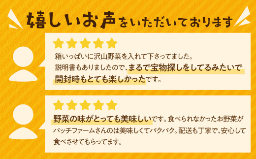 【渥美半島より新鮮野菜をお届けします】 旬彩野菜バスケット 約3kg ／ 季節野菜 採れたて 露地栽培 旬 愛知県 特産品 産地直送 田原市 渥美半島