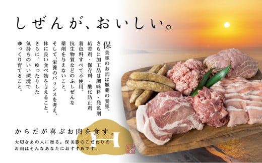保美豚プレミアム・真空冷凍肉無添加　7品目入り ／ 豚肉 加工品 ローススライス ウインナー ミンチ 完全薬剤不使用 愛知県 特産品 産地直送 田原市 渥美半島