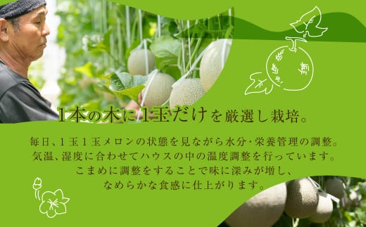 先行予約 数量限定 野菜ソムリエ推薦渥美半島伊良湖潮風育ちマスクメロン1玉大玉サイズ(1.7～2キロ)カラーギフト箱入り 2026年６月下旬～８月上旬発送 田原市 伊良湖産 ギフト プレゼント お取り寄せ 渥美半島 農家直送 送料無料 10000円 一万円