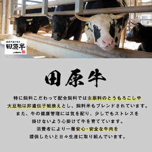 田原牛 スライスすき焼き セット 牛ロース スライス 500g すき焼き用 500g 牛肉 ビーフ しゃぶしゃぶ お取り寄せ 牛 特産 ご当地 グルメ 国産 霜降り ふるさと納税 肉 冷凍 贅沢 和食 洋食 祝 田原市 送料無料 30000 円 三万円 ３万円