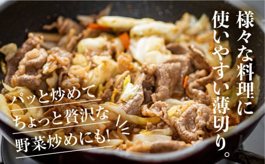 〈訳あり〉国産牛 切落し 900g 渥美半島 田原牛 スライス うす切り 牛肉 肉 きりおとし 牛丼 カレー ビーフシチュー に お取り寄せ お取り寄せグルメ 切落し ふぞろい 訳アリ わけあり ワケアリ 不揃い