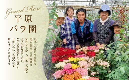 バラ 花束 大輪 赤 20本 (40cm) ブーケ 薔薇 ローズ 生花 プレゼント 花 ギフト  植物 フラワー 田原市 切り花 切花 12000円