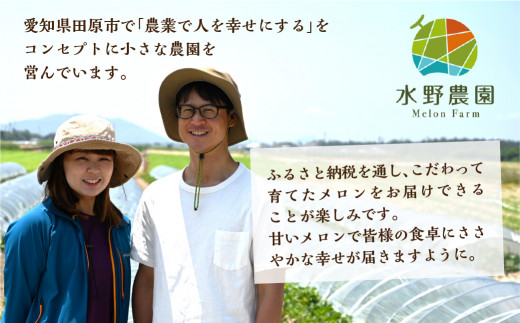 先行予約 タカミメロン 5kg 3～5玉 水野農園 6月中下旬から7月順次発送 メロン めろん 先行受付 フルーツ 果物 お中元 お取り寄せ ギフト 渥美半島 田原市 産地直送 送料無料 12000円