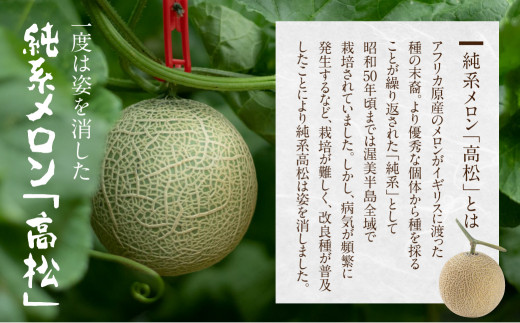 先行予約 渥美半島石井農園・純系 古田メロン1玉 【2026年7月発送】 石井農園 純系 箱詰め メロン フルーツ 果物 お取り寄せ 渥美半島 産地直送 幻 希少品 田原市 送料無料 10,000円
