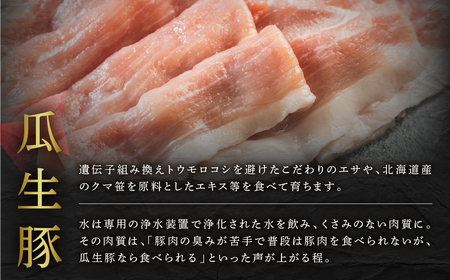 訳あり 国産 豚肉 食べ比べ 2本 ヒレ ブロック 冷蔵 瓜生豚 小分け 簡易包装 訳あり ぶた 贈り物 ギフト お取り寄せ お取り寄せグルメ 食品 送料無料 産地直送 冷蔵 瓜生