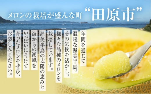 農業王国 渥美半島 田原市から 日研農園 アールスメロン　3L×2玉入 ／ めろん フルーツ 果物  特産品 産地直送 田原市 渥美半島