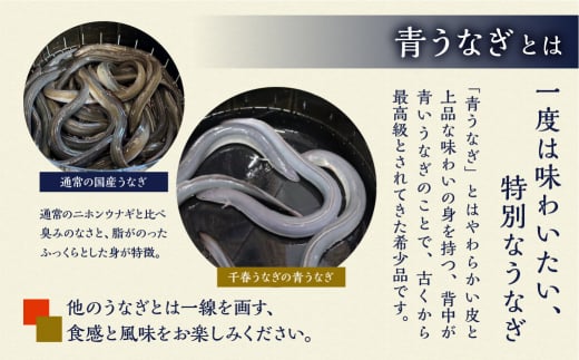 厳選 高級 幻の青うなぎ 蒲焼 2尾 全12回 定期便　合計24尾　 | 国内において幻とも称される「青うなぎ」のみをお届け  食感・風味全てに自信のある最高のうなぎ