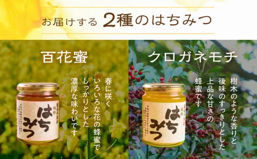 国産 純粋 無添加 完熟 はちみつ 蜂蜜 110g 2種4本セット 鈴木養蜂園