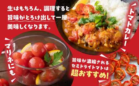 グランプリ受賞 完熟 出汁推し実 ミニトマト 1.5kg  3回お届け定期便