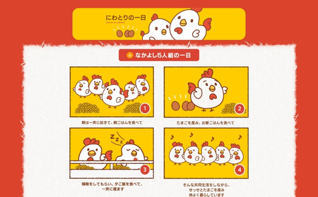 希少な2種のたまごセット 50個 割れ保証付き 卵 たまご 鶏卵 50 お楽しみ 卵 たまご