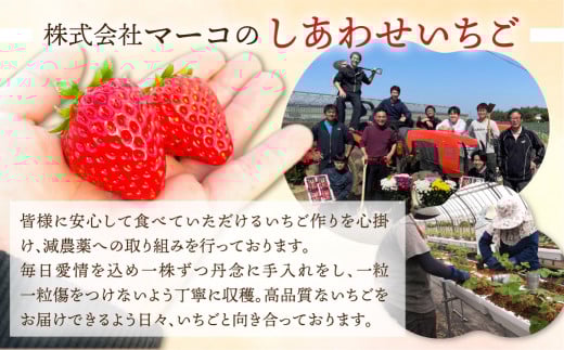 幻の青うなぎ＆いちごセット  食感・風味全てに自信のある最高のうなぎ | 鰻 ウナギ ふっくら うなぎ フルーツ いちご 苺 旬