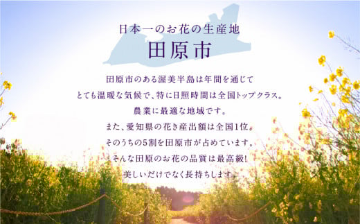お花屋さんのタハナＢＯＸ 定期便 3回 花 花束 切り花 / 愛知県 田原市