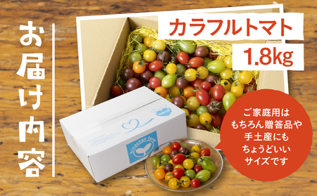 【先行予約】2025年発送　カラフルトマト　1.8kg