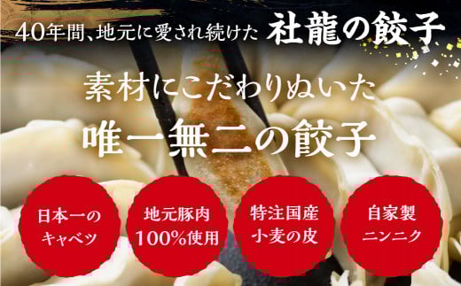 青うなぎ＆餃子  渥美半島よくばりセット 年内 蒲焼き 鰻 ウナギ うなぎ蒲焼 惣菜 幻 簡単調理 おいしい 高評価 ふるさと納税 魚 さかな 魚介 ランキング ぎょうざ ギョウザ おかず おすすめ