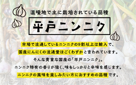 ≪先行予約≫ 訳あり 渥美半島産　ニンニク （乾燥）１ｋｇ 簡易包装 にんにく 国産にんにく 平戸にんにく 愛知県 田原市