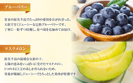 フルーツプレミアム定期便