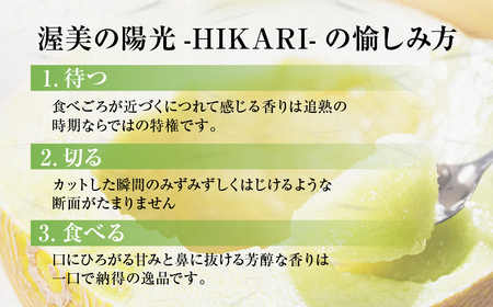 2026年先行予約極上メロン 渥美の陽光-HIKARI- メロン めろん フルーツ 旬 果物 渥美半島 田原市 愛知県