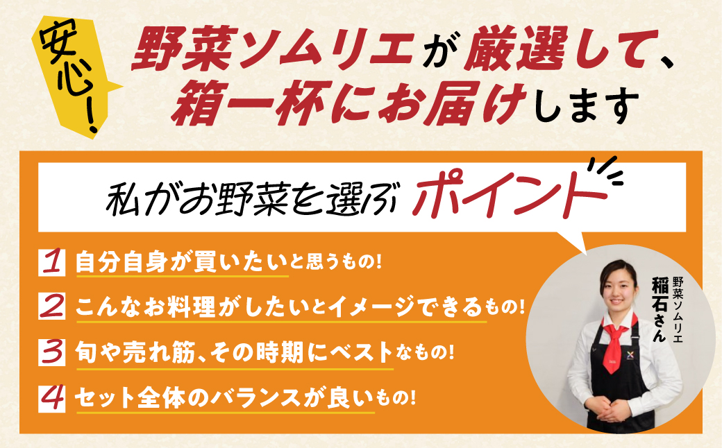 【定期便】 旬の野菜 フルーツ 詰め合わせ ～ 12品 6回 セット 旬 野菜ソムリエ 厳選 野菜セット フルーツ メロン いちご トマト アスパラガス トウモロコシ 玉ねぎ 国産 人気 ランキング やさい 野菜 果物 田原市 定番 8品目 12品目 頒布会