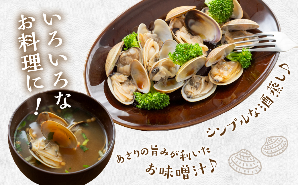 渥美産 天然旨あさり 特大 1kg あさり