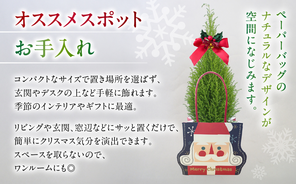 ミニクリスマスツリー 観葉植物 植物 3号鉢 ツリー 人気 おしゃれ かわいい お手入れ 室内 大鉢 中型 インテリア リビング 玄関 寝室 キッチン オフィス プレゼント ギフト 冬 クリスマス フラワーギフト