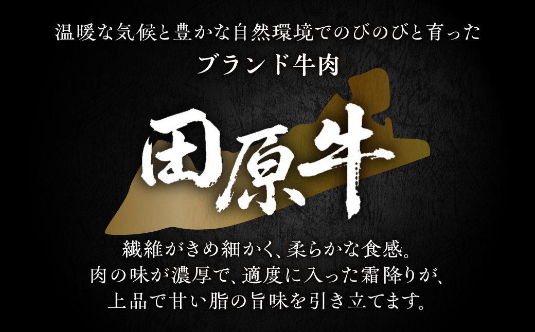 【ブランド牛】田原牛のタレ付き特選上カルビ500g ／ 牛肉 BBQ 愛知県 産地直送 田原市 渥美半島