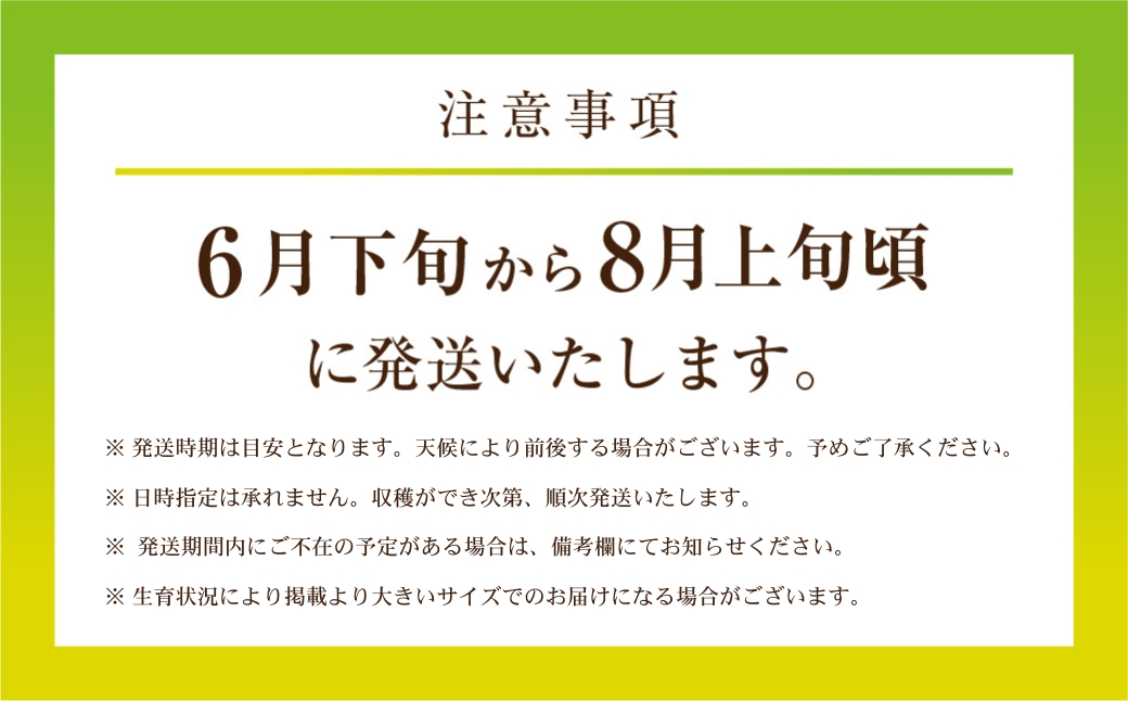 野菜ソムリエ推薦 渥美半島伊良湖潮風育ち マスクメロン2玉  2L～3L サイズ(3～4キロ)カラーギフト箱入り　 田原市 伊良湖産 ギフト プレゼント お取り寄せ 渥美半島 農家直送 送料無料 12000円