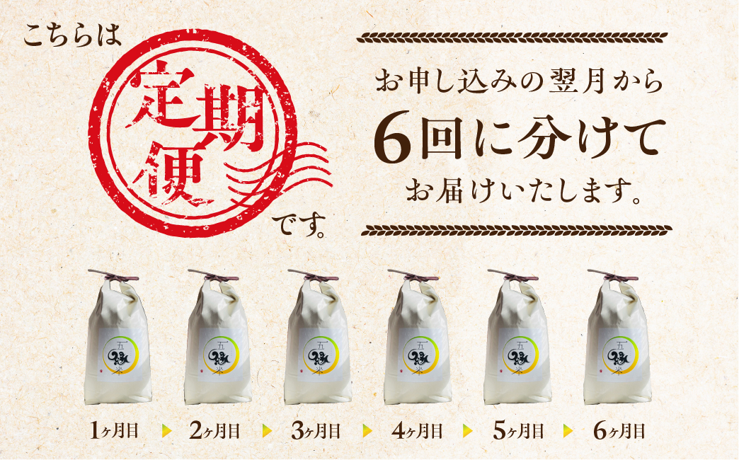 【先行予約】五縁米5 kg　定期便6回　こしひかり お米 ごはん コシヒカリ 白米 5キロ 産地直送 愛知県 田原市