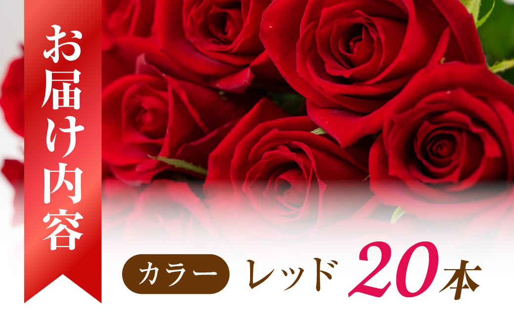 【赤】バラ 花束 20本 花 薔薇 生花 愛知県 田原市