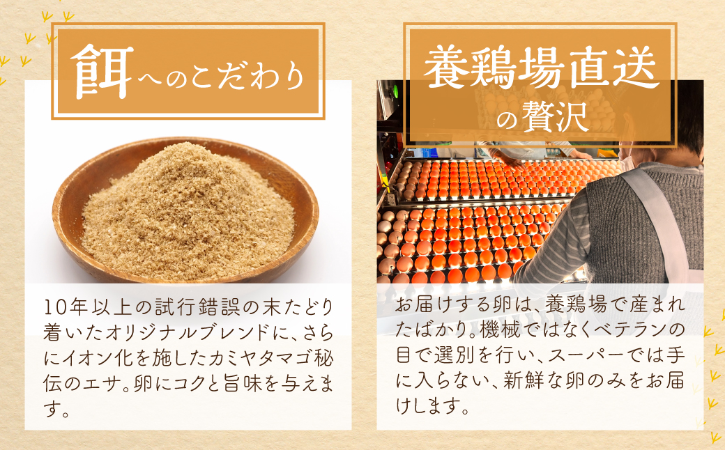 【感動の卵体験】コク旨 極上卵 30個 割れ保証付き