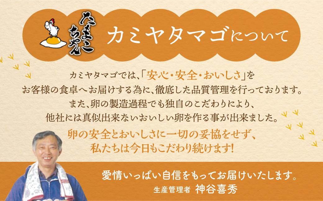 【3回お届け】コク旨 極上卵 30個 割れ保証付き 定期便 （ たまご 卵 毎月 3回 3ヶ月 3ヵ月 3か月 ランキング ）