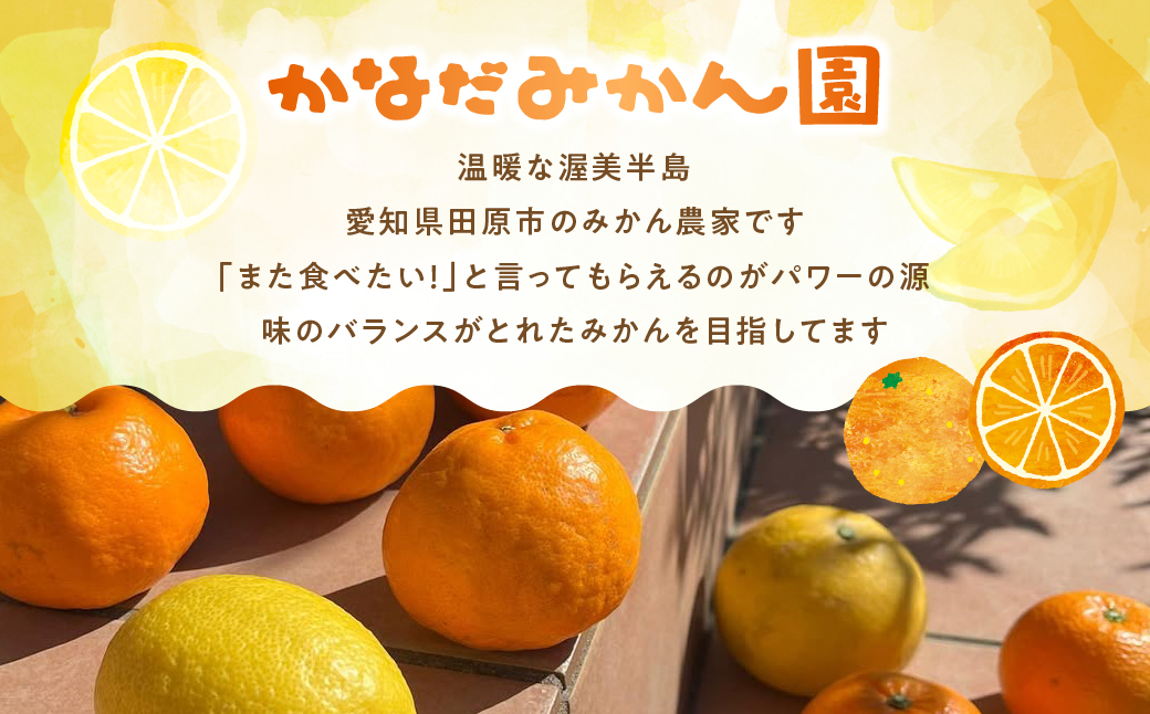 100% みかんジュース 1L × 2本 みかん みかんジュース 蜜柑 ミカン ミカンジュース みかん100％ 柑橘 柑橘類 フルーツ 果物 旬 愛知県 田原市 渥美半島