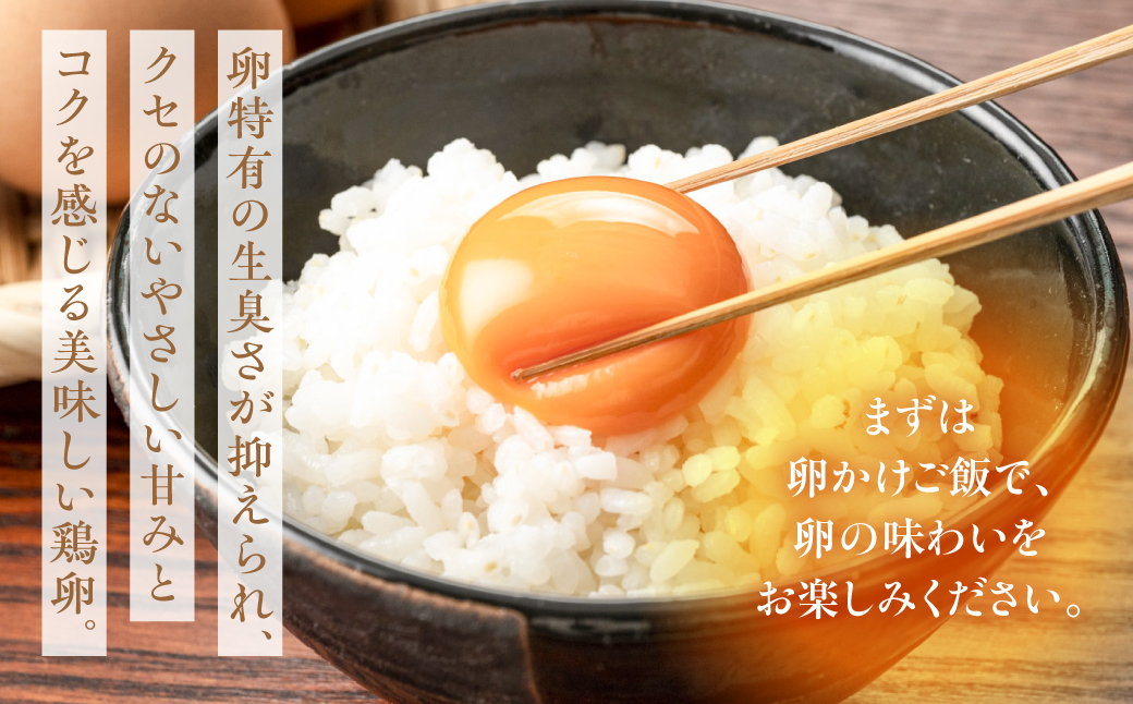 産みたてたまご 30個 ( 割れ保証込み 25個 ＋ 5個 ) 卵 たまご ナガイタマゴ 鶏卵 卵かけごはん 海苔 エサ 赤玉 パック 赤鶏 卵かけご飯 玉子焼き 玉子 国産 新鮮 小分け パック ギフト